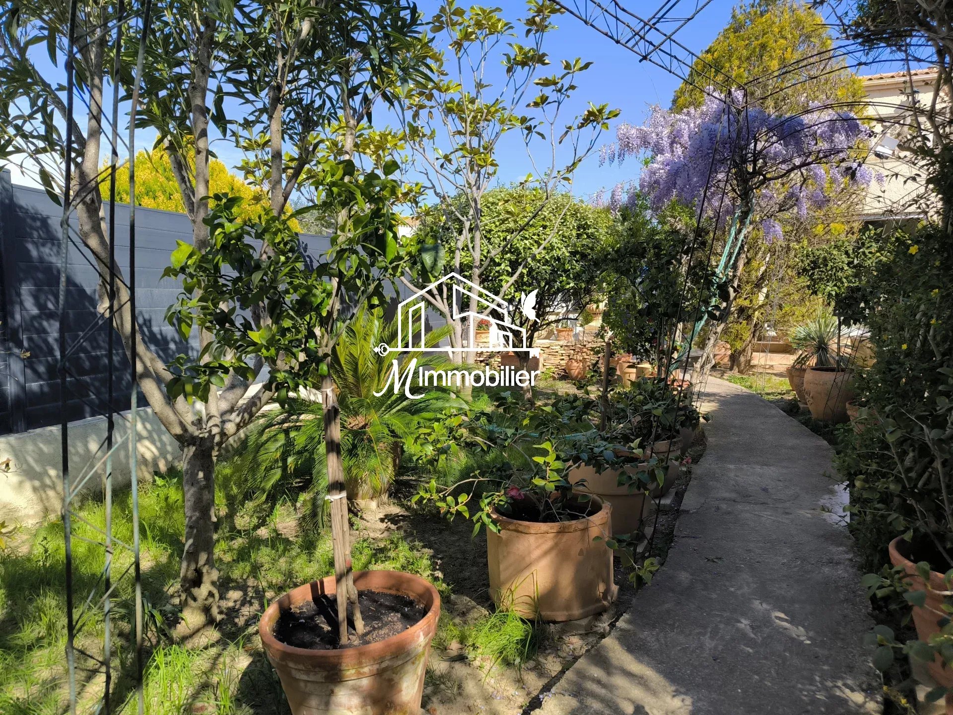 M Immobilier Narbonne : Achat, Vente, Location & Estimation en 24h - 8d3ec15da7a1599cf633a697f0f15b6b bb11196d83 1920 original